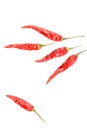 Dried thai chili peppers isolated on a white background with copyspace Royalty Free Stock Photo