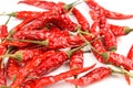 Dried thai chili peppers on a white background Royalty Free Stock Photo