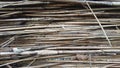 Dried Thick Bamboo Closeup Background Royalty Free Stock Photo
