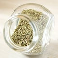 Dried Thyme Royalty Free Stock Photo