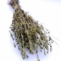 Dried thyme bundle on a hite background