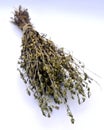 Dried thyme bundle on a white background
