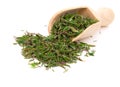 Dried thyme over the spoon Royalty Free Stock Photo