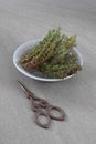 Dried thyme with scissors on table in the kitchen Royalty Free Stock Photo