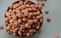 dried tiger nuts in bowl Royalty Free Stock Photo