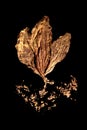 Dried tobacco leaf.