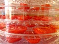 Dried Tomatoes Royalty Free Stock Photo