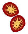 Dried tomatoes. Two slices. Vector isolated illustration