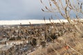 Dried tree branch in winter with city tower in background