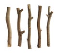 Dried tree trunks set