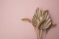 Dried tropical palm tree leaf and grass floral decoration on a pastel pink background