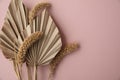 Dried tropical palm tree leaf and grass floral decoration on a pastel pink background