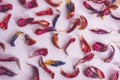 Dried tulip petals are scattered on a white table