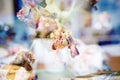 Dried Tulips on Table Royalty Free Stock Photo