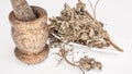 Dried tulsi holy basil in a mortar with pestle over white background.