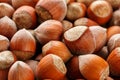 Dried unshelled hazelnuts seeds of Whole nuts as background Royalty Free Stock Photo