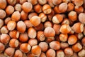 Dried unshelled hazelnuts seeds of Whole nuts as background Royalty Free Stock Photo