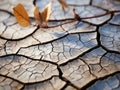 a dried up crack in the ground with a leaf on it Royalty Free Stock Photo