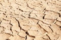 Dried up and cracked mud in dry waterhole Royalty Free Stock Photo