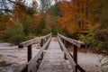 A dried up creek bed and a small wooden foot bridge in autumn season Royalty Free Stock Photo