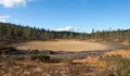 Dried-up Lake in Taiga Forest Royalty Free Stock Photo