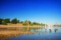 Dried up river bed, beach. Low water level of the Rhein dry river landscape, photo On the banks of the Rhine dried out in Cologne Royalty Free Stock Photo