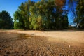 Dried up river bed, beach without water. Low water level of the Rhein dry river landscape, photo On the banks of the Rhine dried o Royalty Free Stock Photo