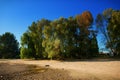 Dried up river bed, beach without water. Low water level of the Rhein dry river landscape, photo On the banks of the Rhine dried o Royalty Free Stock Photo