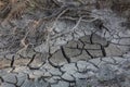 dried up riverbed with cracked clayey bottom Royalty Free Stock Photo