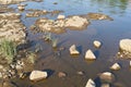 Dried up riverbed of the Elbe River in Magdeburg in Germany Royalty Free Stock Photo