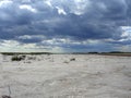 A dried-up riverbed of the salt lake desert the naked bottom of the reservoir in Kazakhstan with storm clouds nature landscape Royalty Free Stock Photo