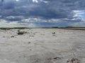 A dried-up riverbed of the salt lake desert the naked bottom of the reservoir in Kazakhstan with storm clouds nature landscape Royalty Free Stock Photo