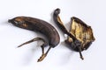 Dried up rotten decomposed banana and peel