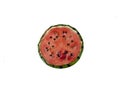 Dried up watermelon - half Royalty Free Stock Photo