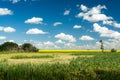 Dried up wet lands on the canadian prairies during a heat wave Royalty Free Stock Photo
