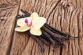 Dried vanilla pods and orchid vanilla flower on wooden table