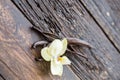 Dried vanilla pods and orchid vanilla flower on wooden background. Vanilla Royalty Free Stock Photo