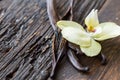 Dried vanilla pods on wooden background. Vanilla copy space Royalty Free Stock Photo