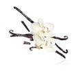 Dried vanilla sticks with flowers closeup, isolated on a white background