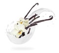 Dried vanilla sticks with flowers in milk splashes on a white background Royalty Free Stock Photo