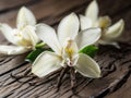 Dried vanilla sticks and vanilla orchid on wooden table