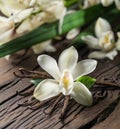 Dried vanilla sticks and vanilla orchid on wooden table