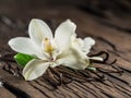 Dried vanilla sticks and vanilla orchid on wooden table