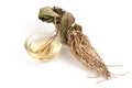 Dried vetiver grass or vetiveria zizanioides and oil on white background