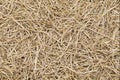 Dried vetiver roots