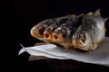 Dried vobla fish on the edge of the wooden table against black background Royalty Free Stock Photo