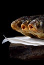 Dried vobla fish on the edge of the wooden table against black background Royalty Free Stock Photo