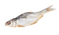 Dried vobla fish isolated Royalty Free Stock Photo