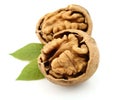 Dried walnut with leaf Royalty Free Stock Photo