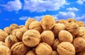 Dried walnuts closeup on the blue sky background Royalty Free Stock Photo